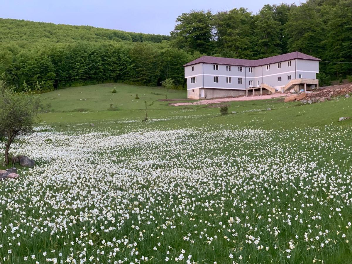Bujtina Shehu Otel Kukes Dış mekan fotoğraf