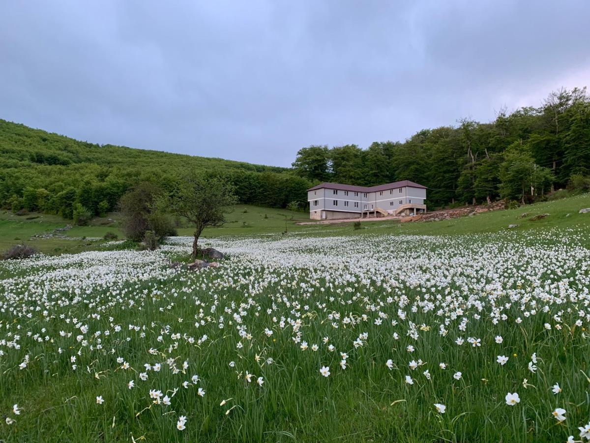 Bujtina Shehu Otel Kukes Dış mekan fotoğraf